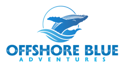 Offshore Blue Adventures