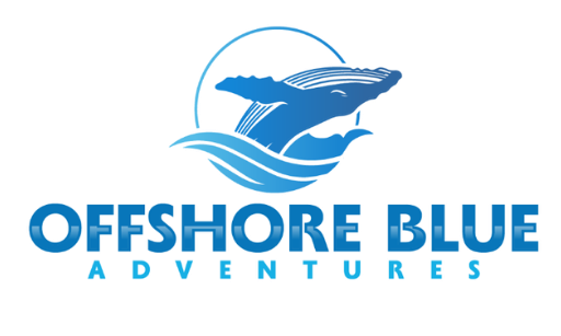 Logo: Whale and waves above 'Offshore Blue Adventures' in blue.