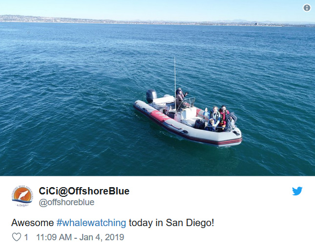 Small boat with people on blue ocean, clear sky visible.